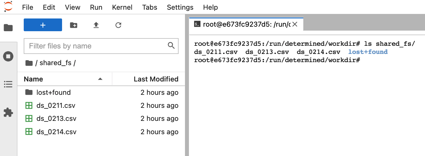 The mounted file system allows to access files from different notebook containers