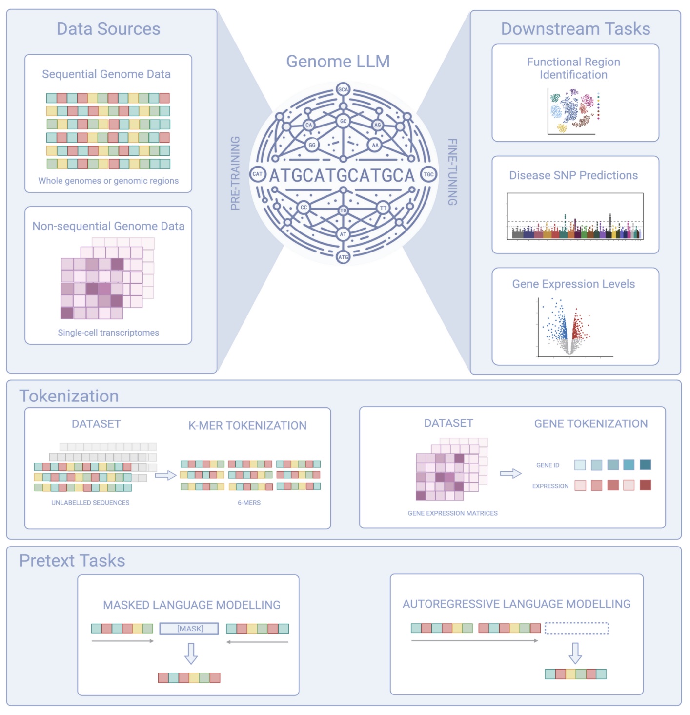 Genome LLMs Overview Figure