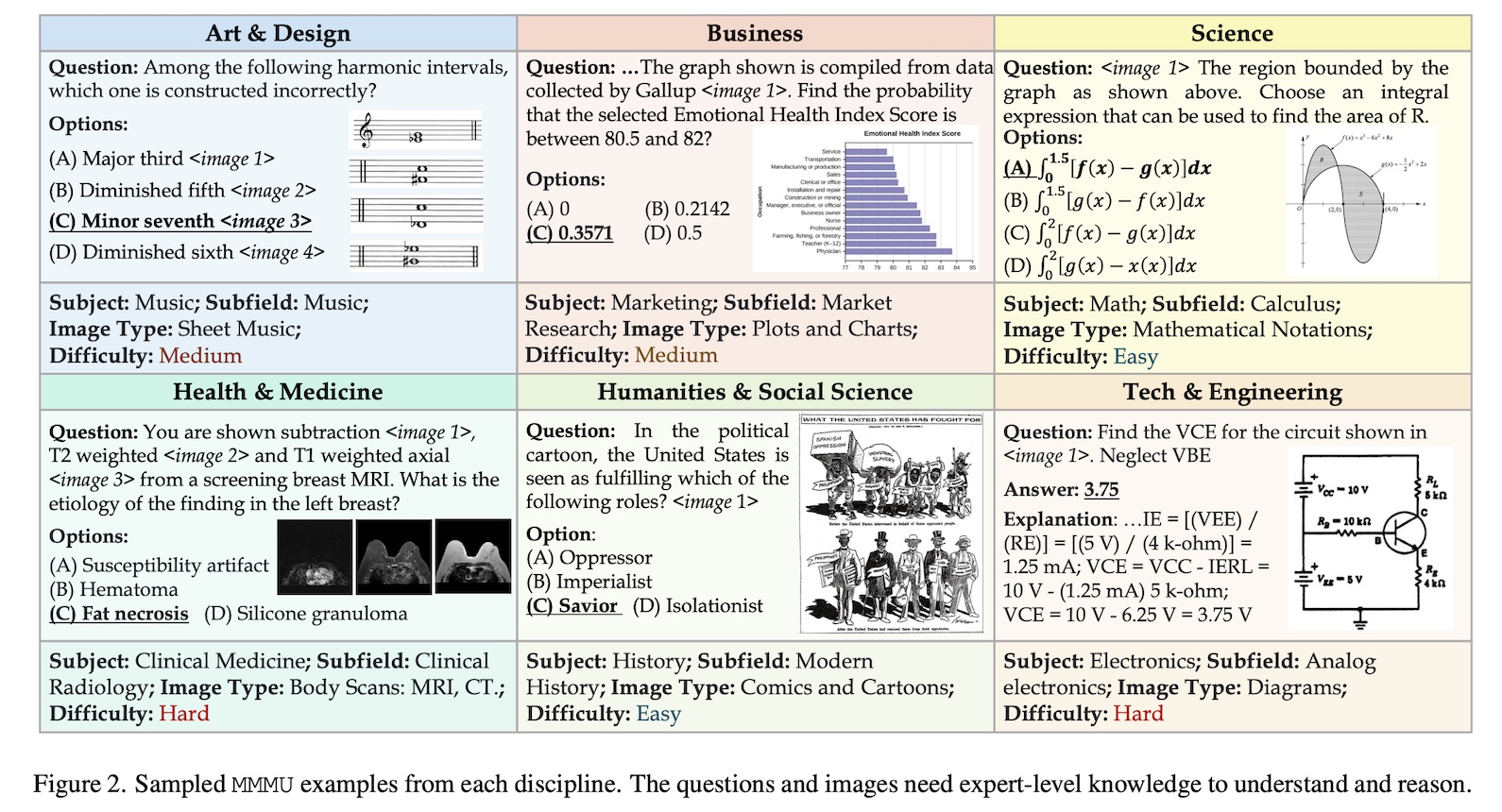 MMMU examples