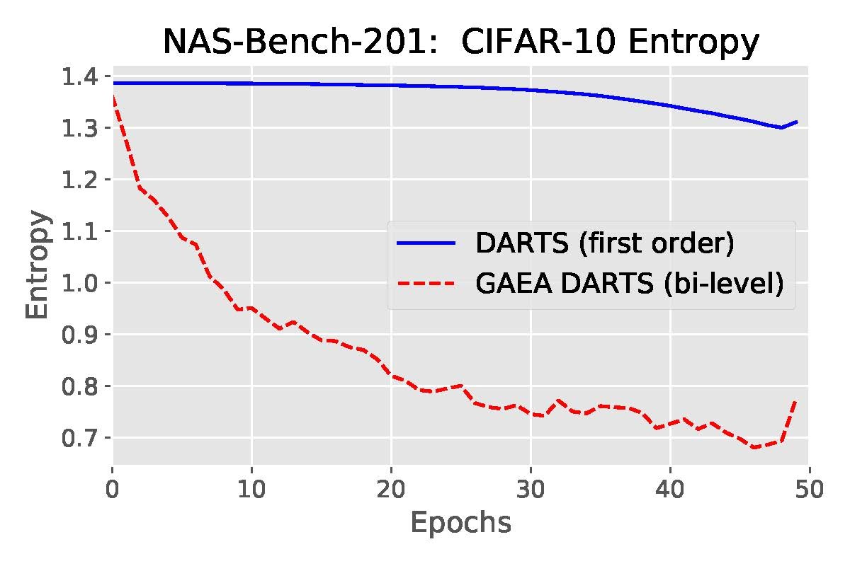 Weigh-Sharing NAS Entropy Comparison